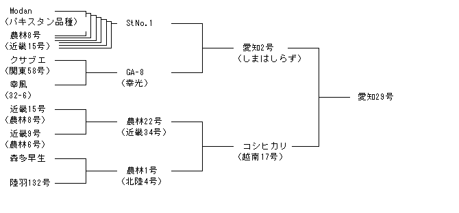 愛知29号