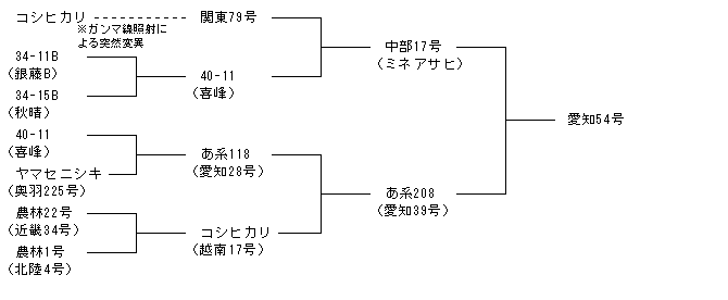 愛知54号