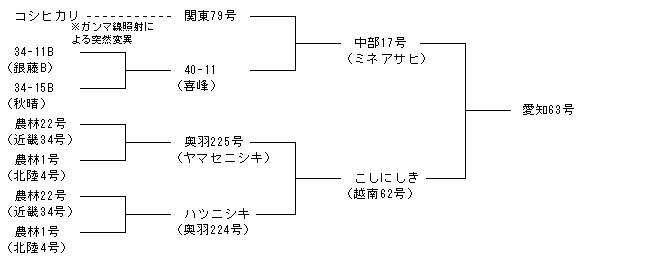 愛知63号