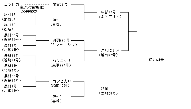 愛知64号