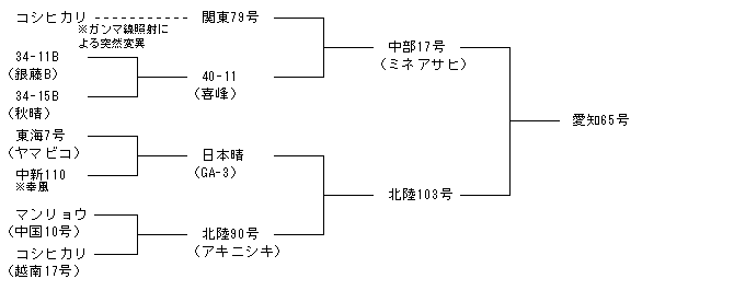 愛知65号