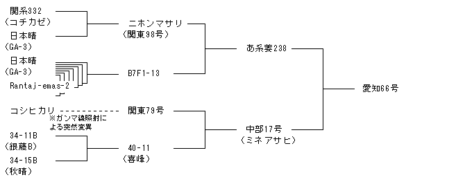 愛知66号