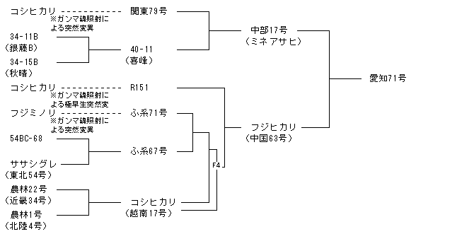 愛知71号