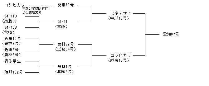 愛知87号