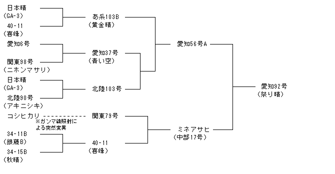 愛知92号