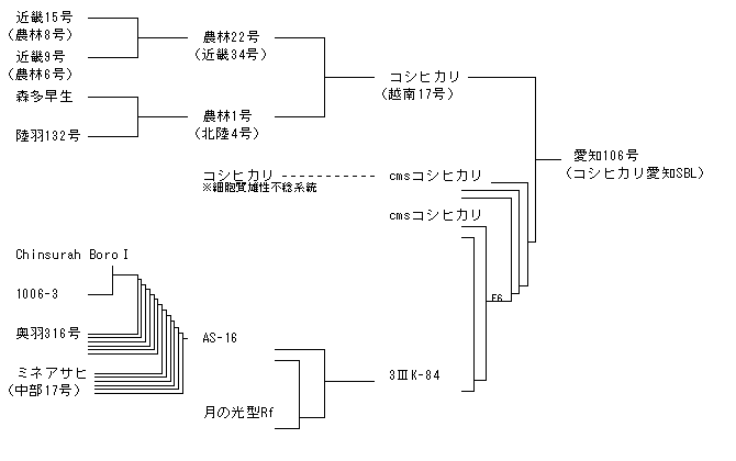 愛知106号