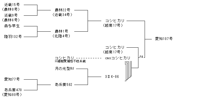 愛知107号
