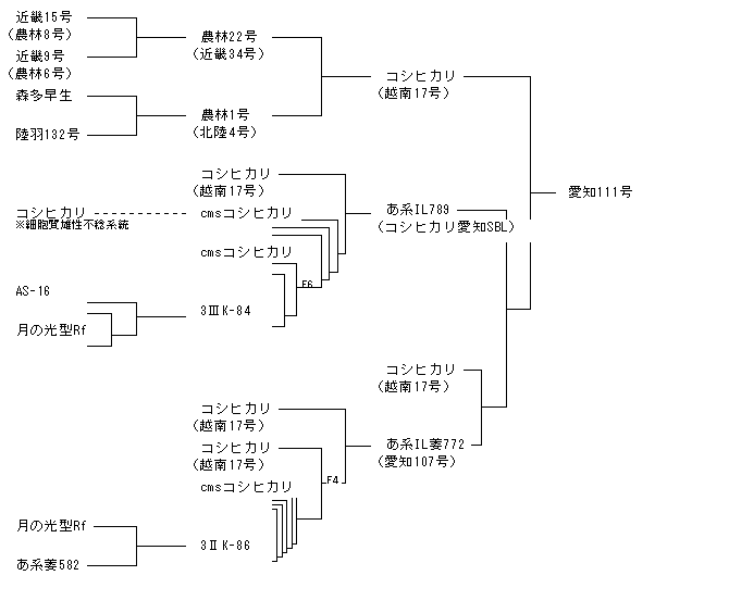 愛知111号