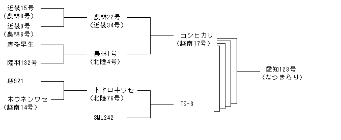 愛知123号