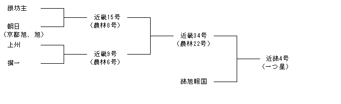 近錦4号