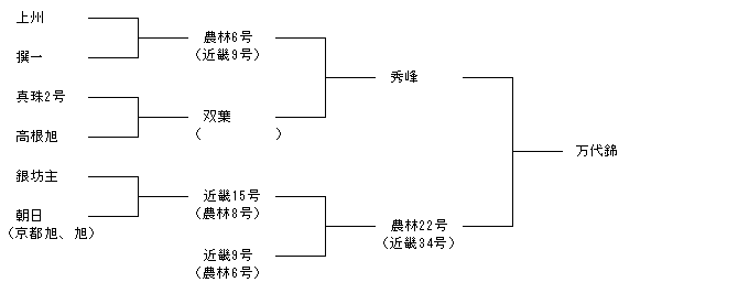 万代錦