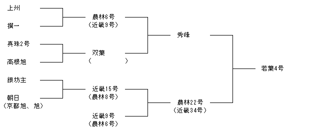 若葉4号　