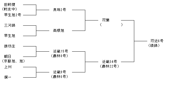 双近6号