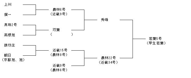 若葉5号