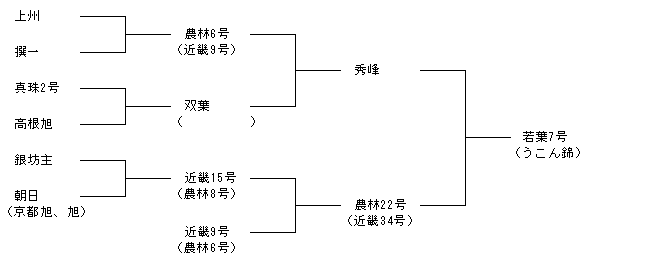 若葉7号