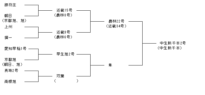 中生新千本2号