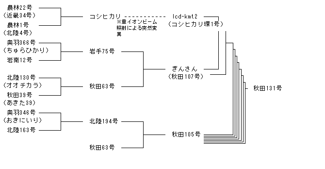 秋田131号