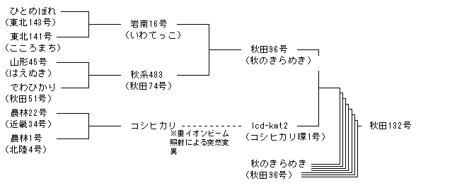 秋田132号