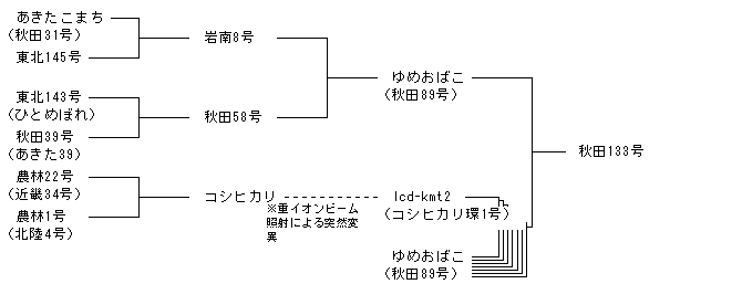 秋田133号
