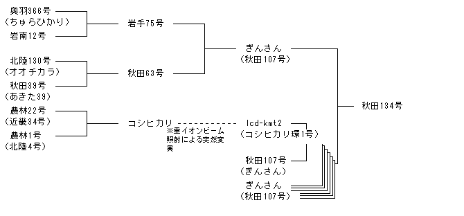 秋田134号