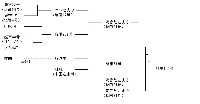 秋田IL1号