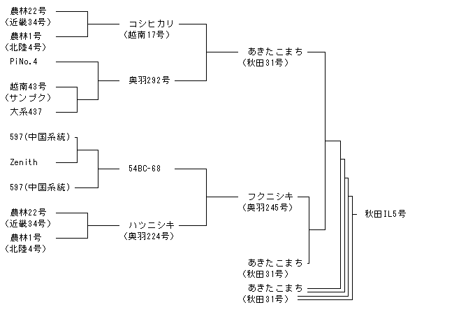 秋田IL5号