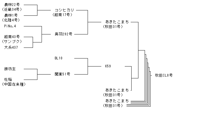 秋田IL8号