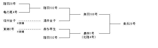 青系20号