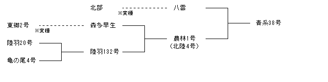 青系38号