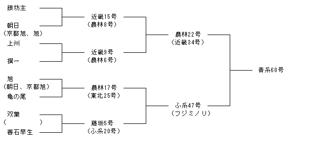 青系68号
