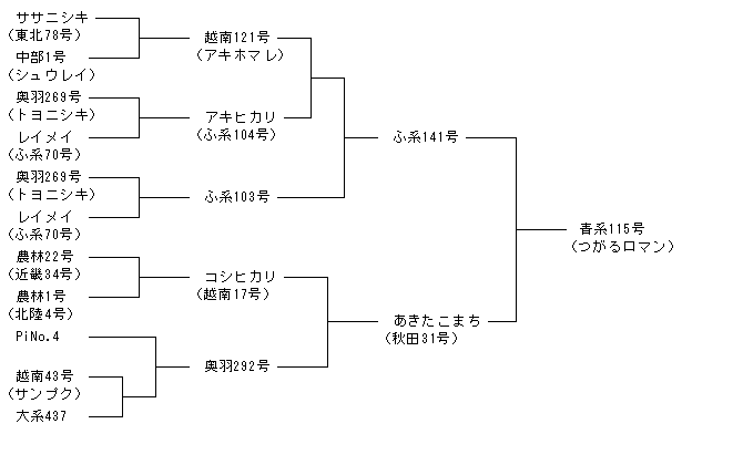 青系115号