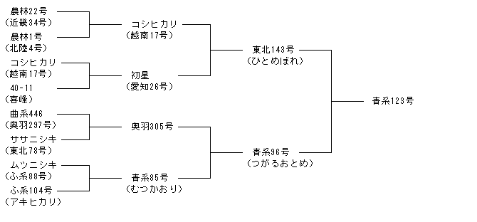 青系123号