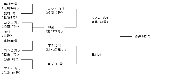 青系142号