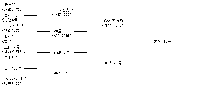 青系146号