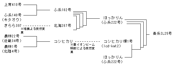 青系IL25号