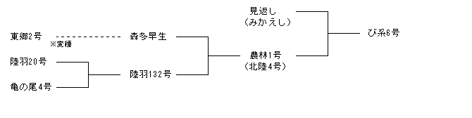 び系6号