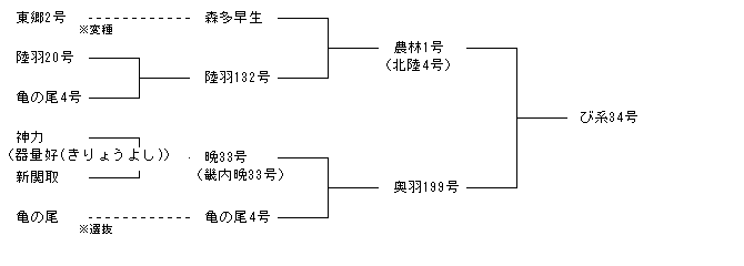 び系34号