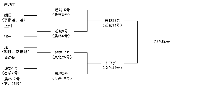 び系56号