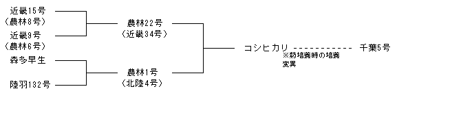 千葉5号