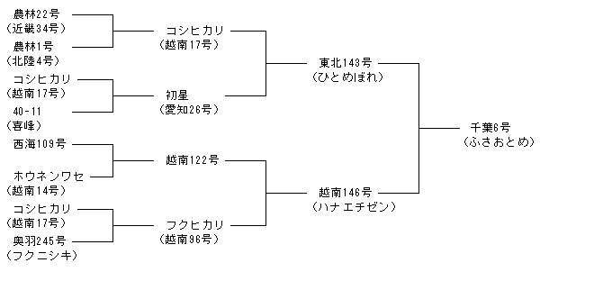 千葉6号