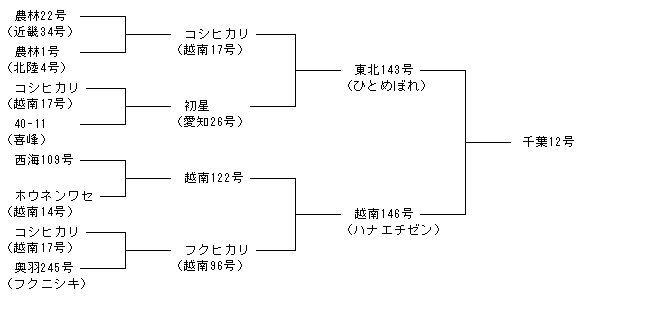 千葉12号