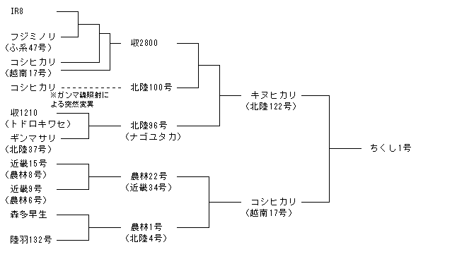 ちくし1号