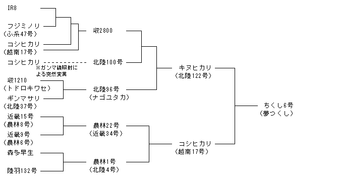 ちくし6号
