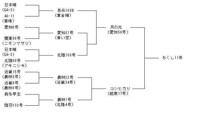 ちくし11号