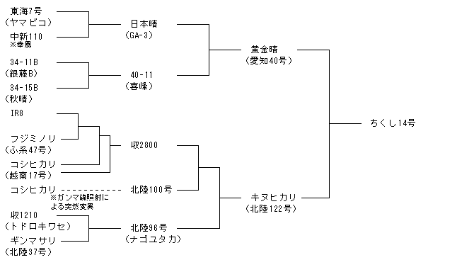 ちくし14号