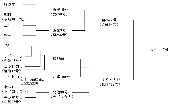 ちくし17号