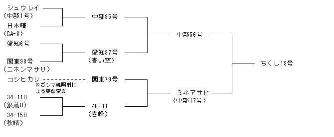 ちくし19号
