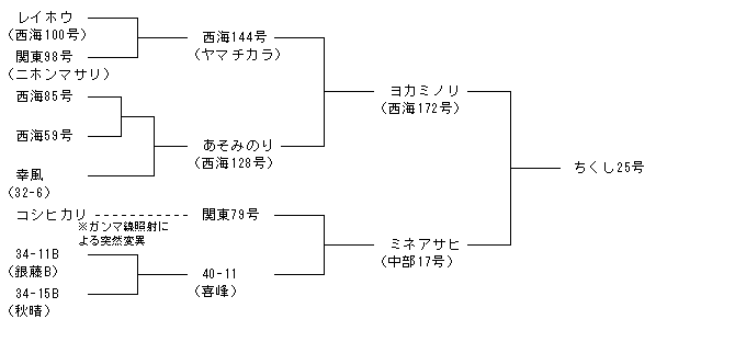 ちくし25号