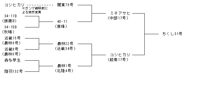 ちくし31号