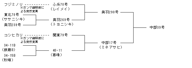 中部39号